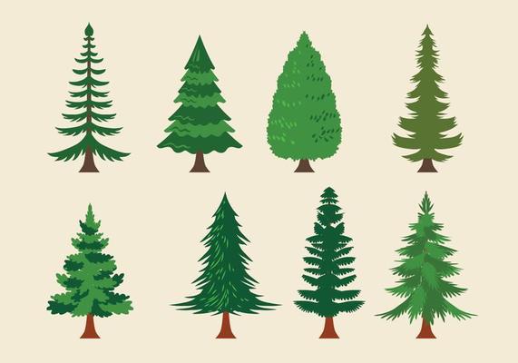 Spruce Up The Place a Little –J.K.