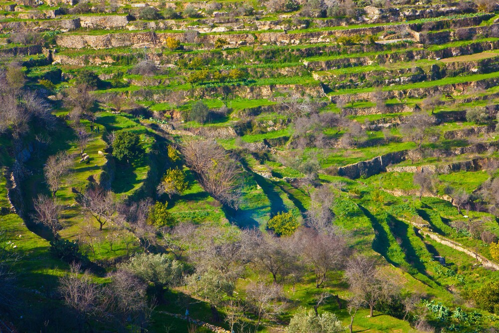 UNESCO World Heritage Site